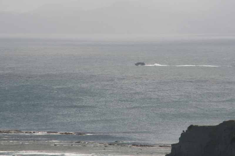 Nieuw-Zeeland 2011 - 1159